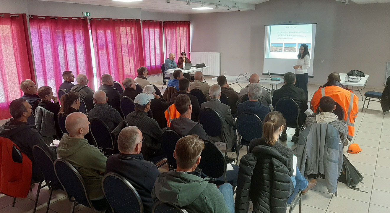 Assainissement collectif : une journée d’information et d’échanges autour des filtres à sable plantés de roseaux
