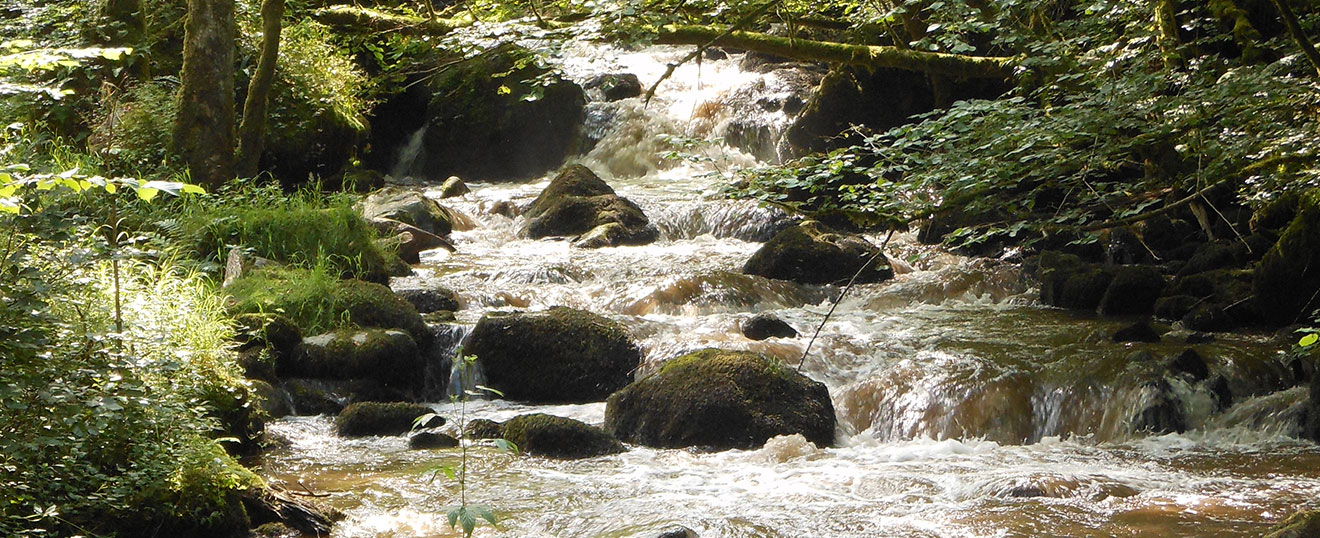 Eau et gestion des milieux aquatiques